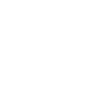 Guided Owl