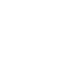 Bullet Dance