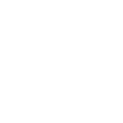 Fire Scarabs