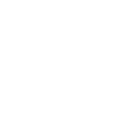 Flight